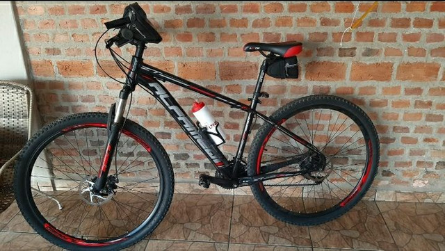 BIKE ARO 29