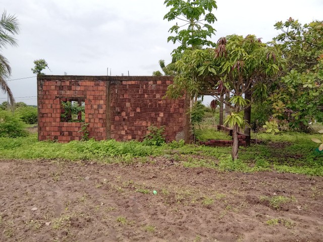 Vendo casa no ponto de laje - Foto 4