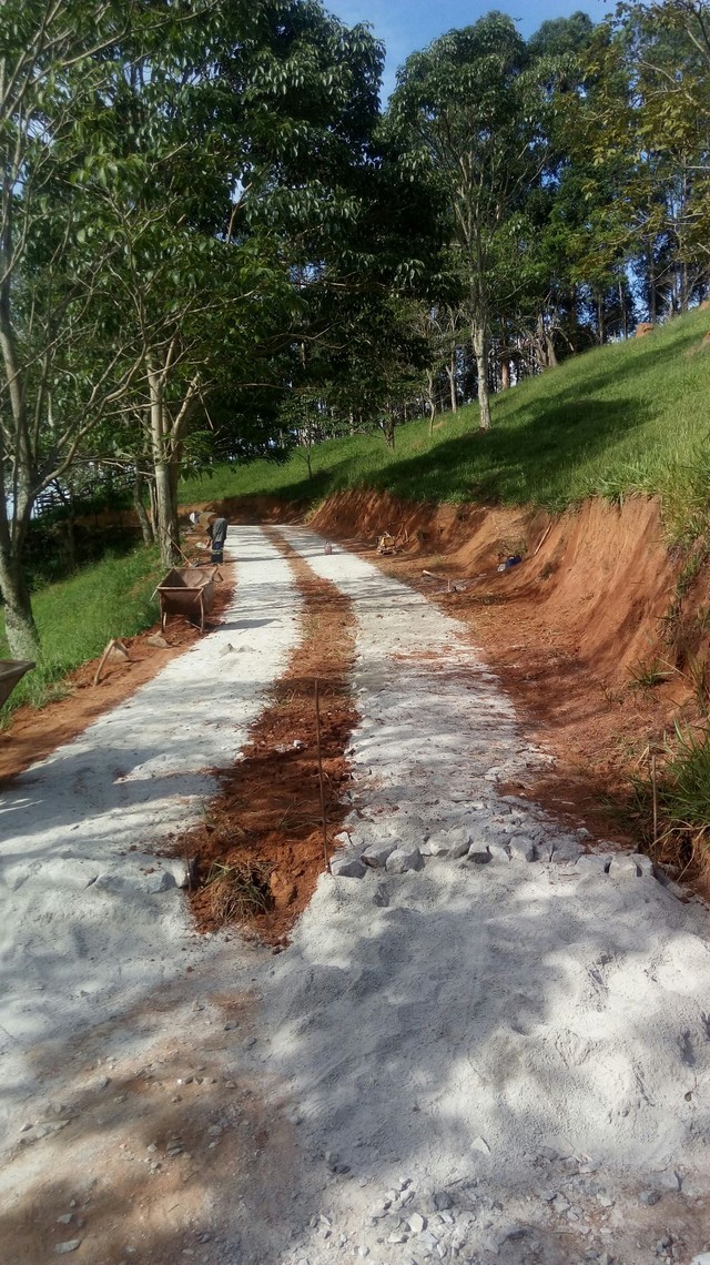 Serviços - Foto 2