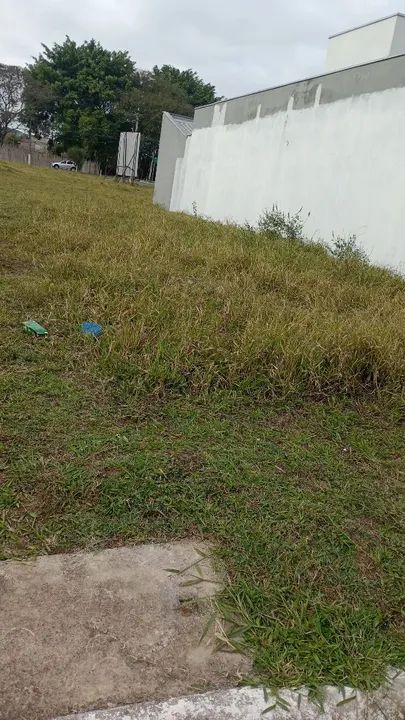 Serviços de limpeza e jardinagem 