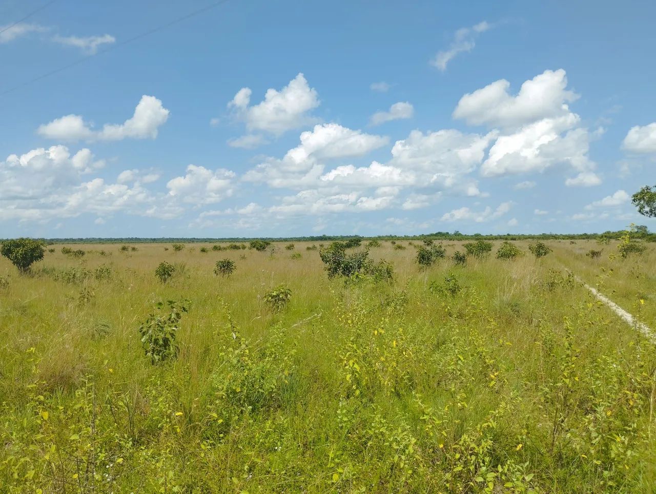 foto - Boa Vista - Centenário