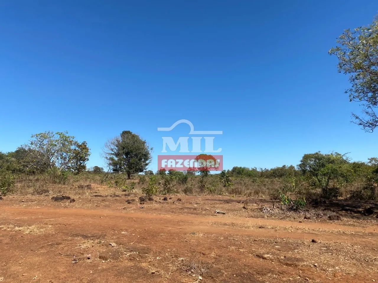Fazenda em Palmeirópolis-TO. . 440 Alq. ( 2.130 Há). Boa p/ Soja - Foto 4