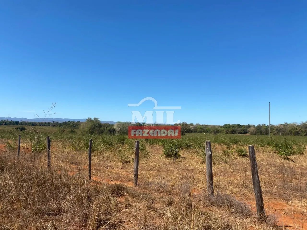 Fazenda em Palmeirópolis-TO. . 440 Alq. ( 2.130 Há). Boa p/ Soja - Foto 5