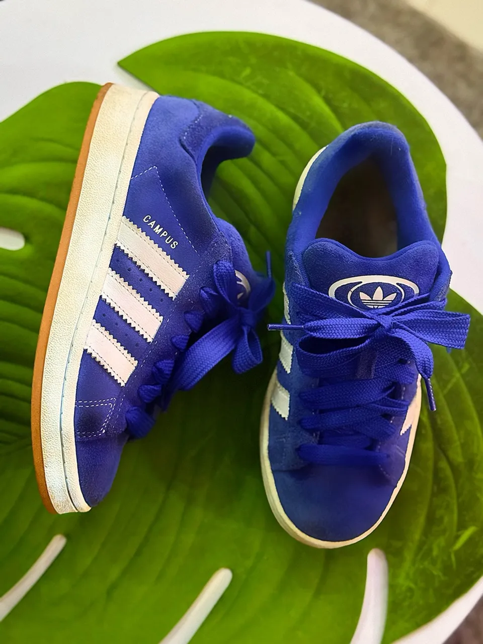 Adidas Campus Azul - Original e Confortável