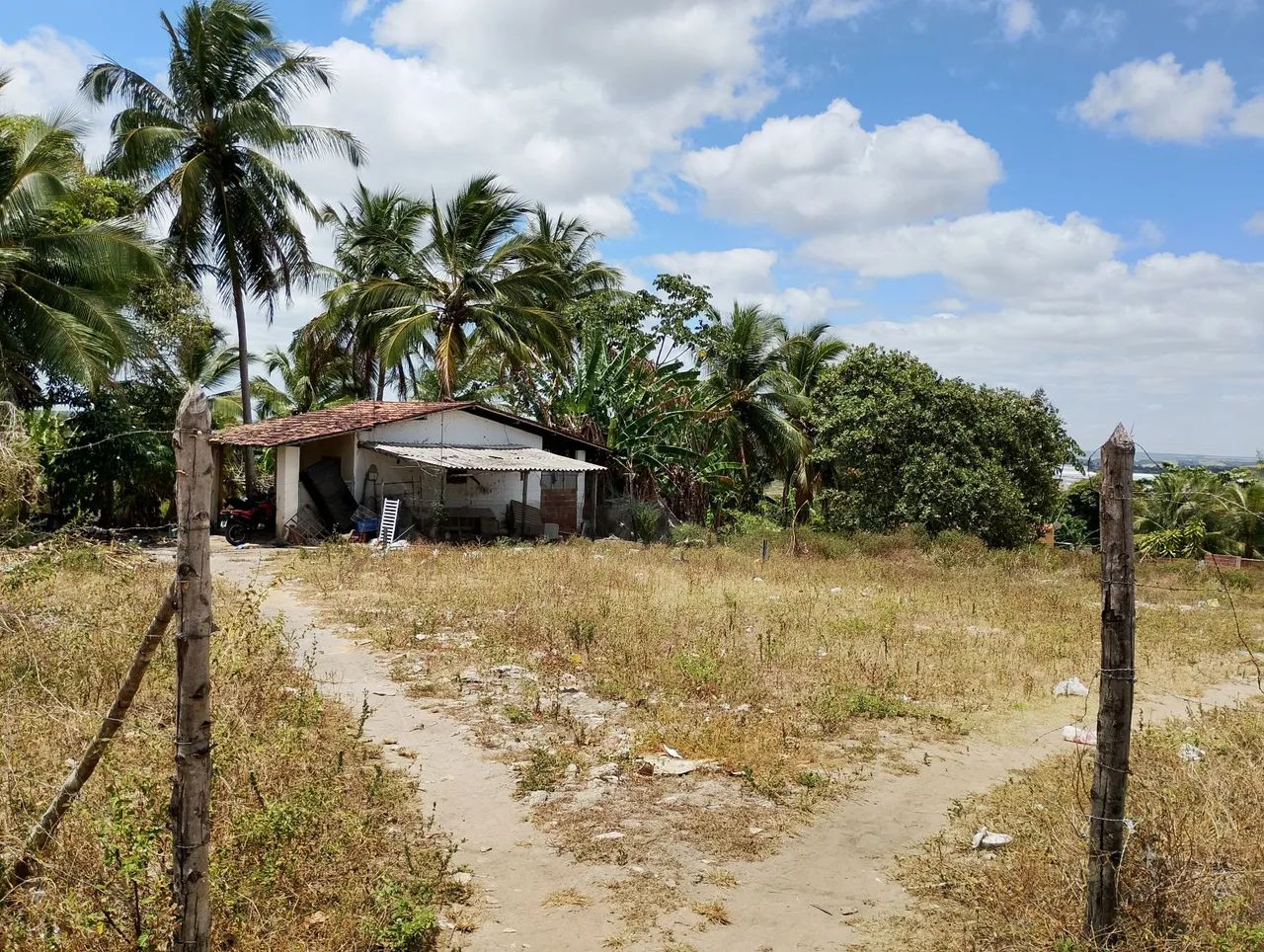 Terreno com uma pequena casa - Foto 5