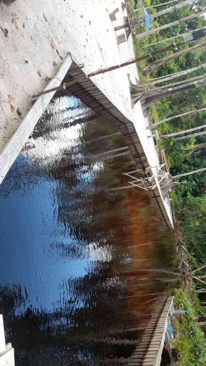 Sitio Estrada Novo Airão km 44 - Foto 12