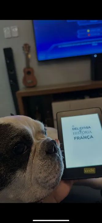 Tablet Kindle - A Delícia da Leitura - Foto 3