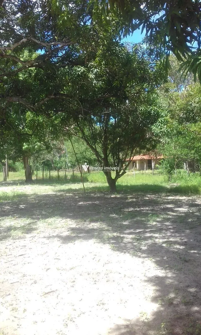 Sitio para venda na Comunidade Bom Principio-União