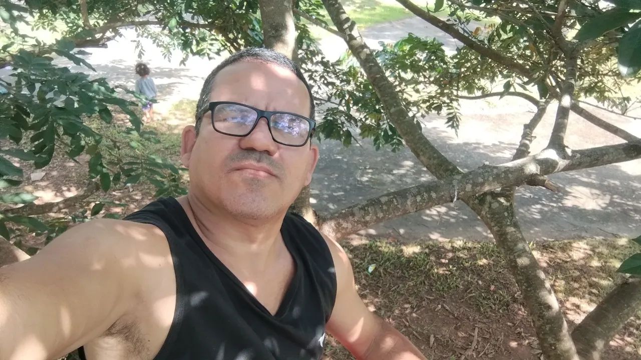 Diarista 
