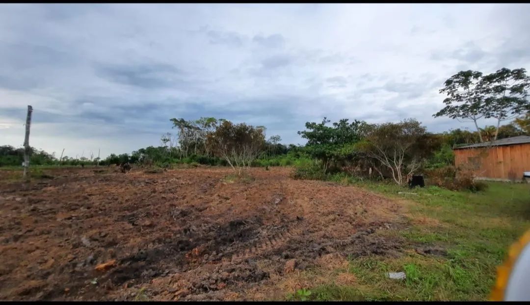 Sitio 70ha com Casa Simples e Terreno Amplo - Foto 5