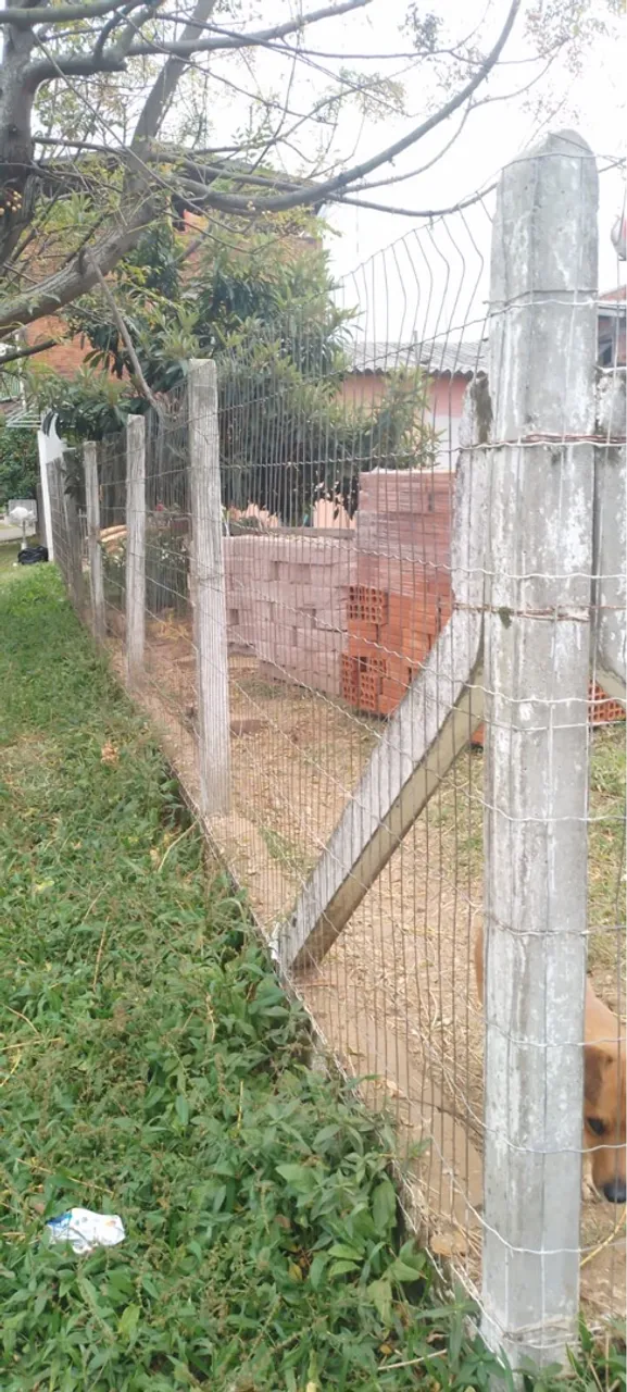 Tela e Mouro de Concreto - R$800 (tudo junto)