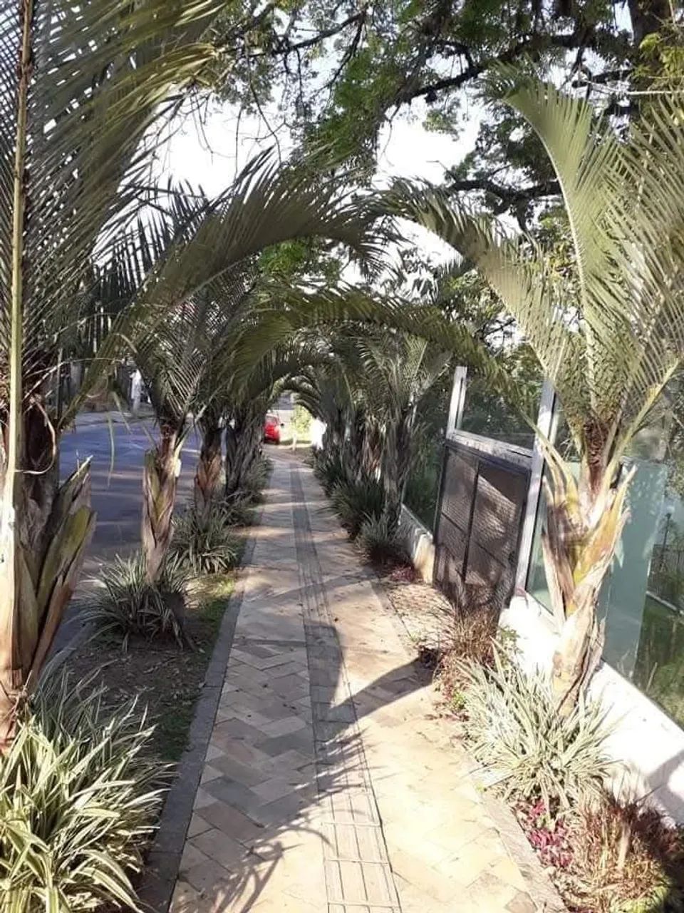 Vendo AP 2 dormitórios  - Foto 8