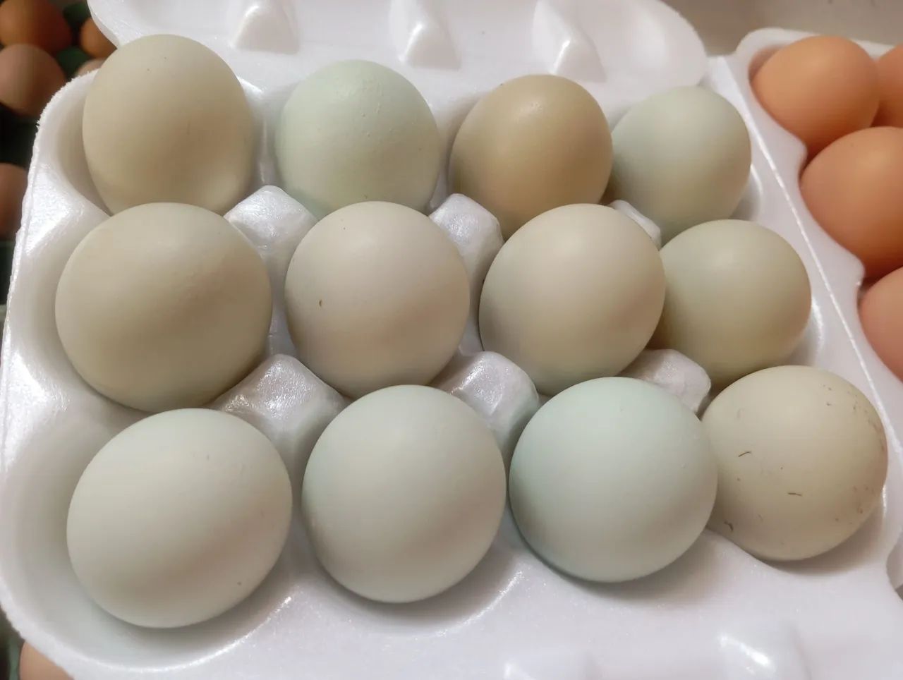 Vendo ovos atacado - Foto 4