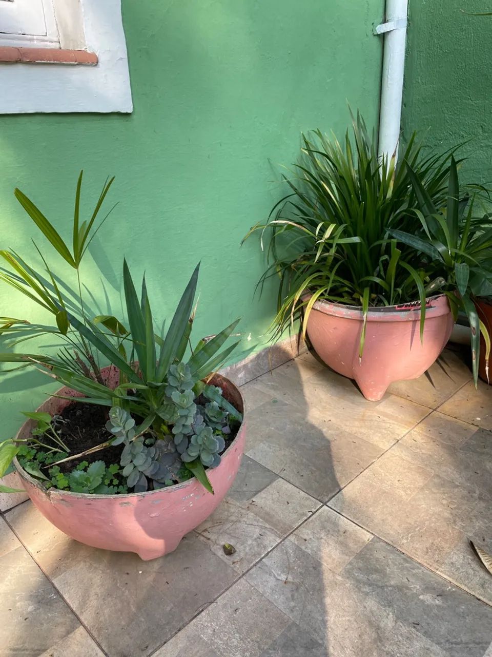 Vasos de plantas ornamentais para decoração - Foto 2