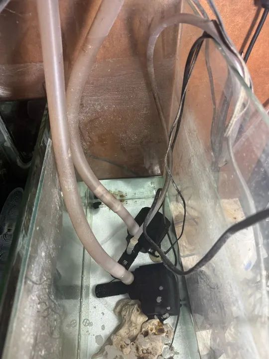 Aquário 200x50x60 com móvel e sump - Foto 5