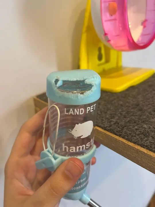 roda/ rodinha hamster e bebedouro - Foto 4