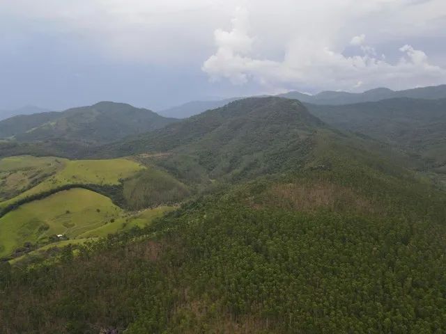 Sítio a Venda - Foto 5