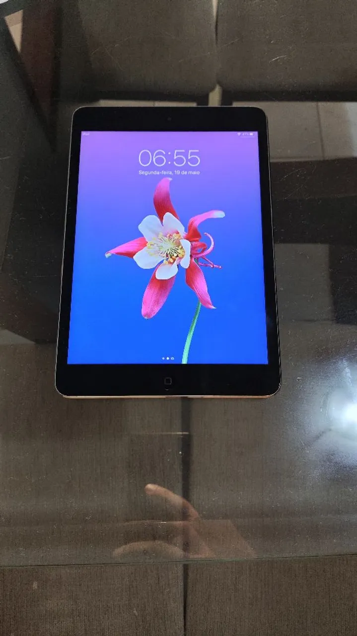 iPad mini 2