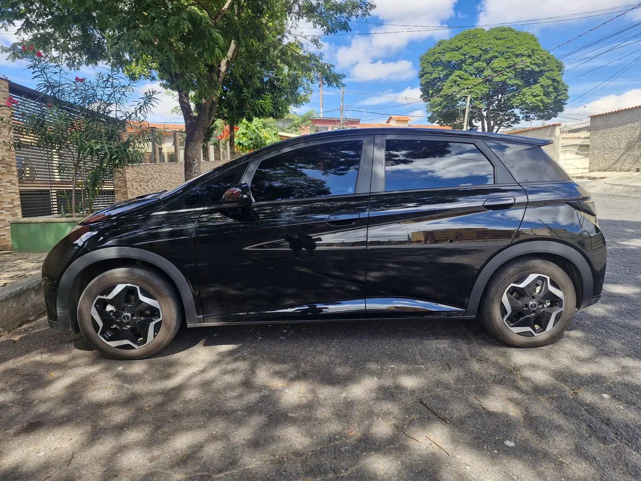 BYD Dolphin GS 180EV  - Foto 3