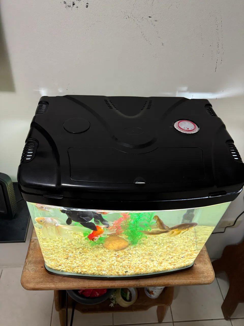Vendo aquário completo  - Foto 5
