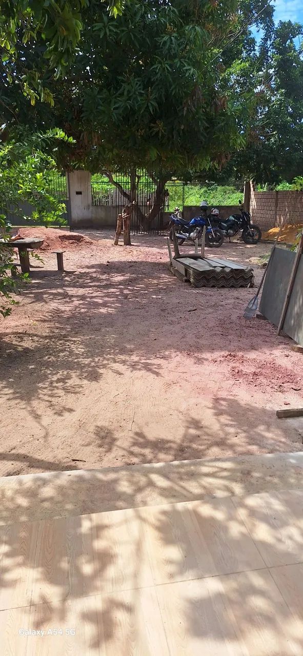 Foto - Santarém - Floresta