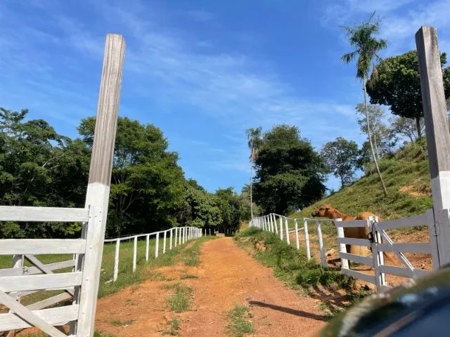 Fazenda à Venda Região nobre do TOCANTINS. - Foto 2