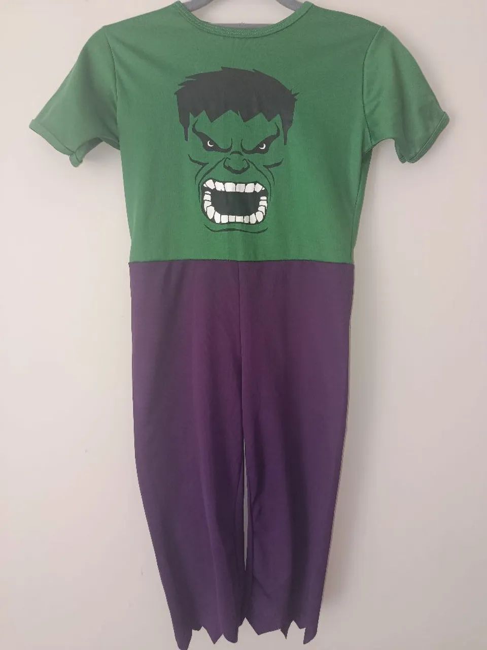 Fantasia Hulk  - Foto 2