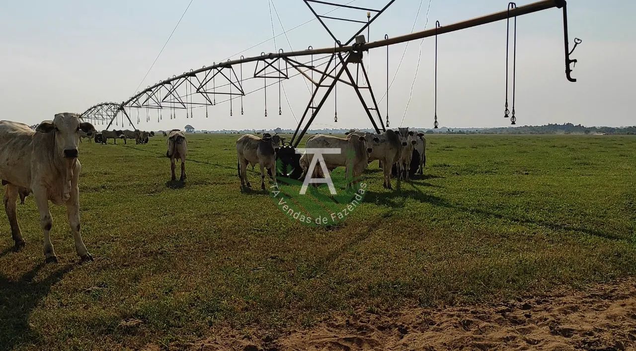 Fazenda em Jussara GO - Foto 3