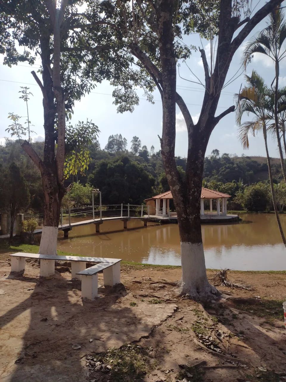 Vendo sítio na localidade da Fazendinha em Visconde do Rio Branco  - Foto 4
