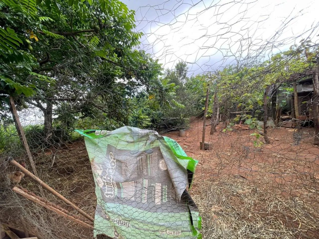 Chácara de 240m² para venda - BRODOWSKI - Foto 2