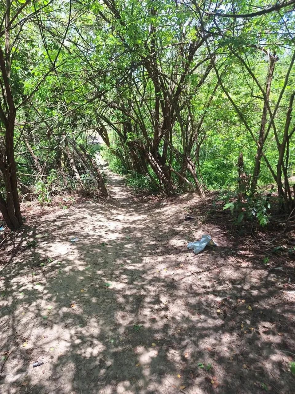 sítio com 14.000m² - Foto 13