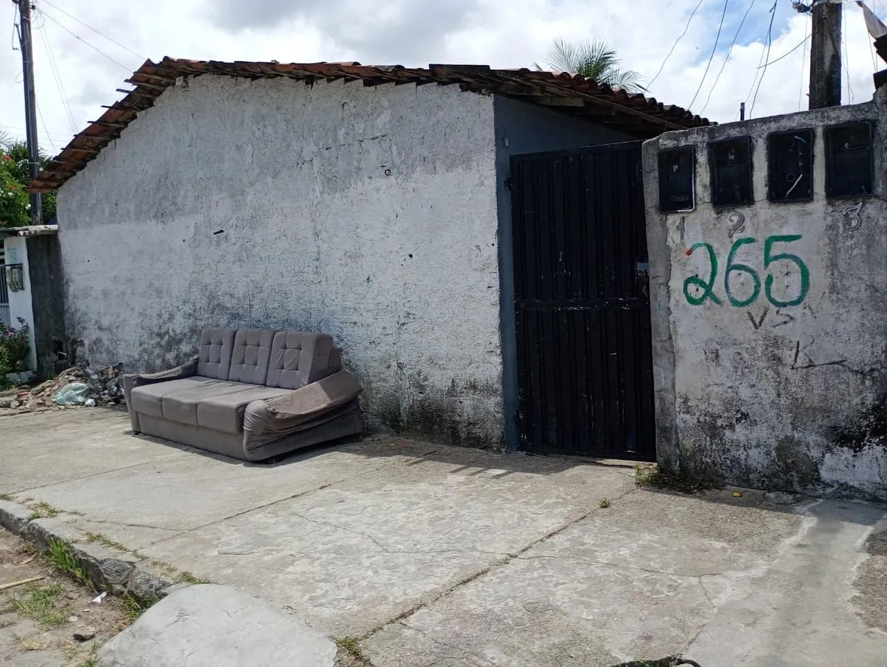 Foto - João Pessoa - Mandacaru