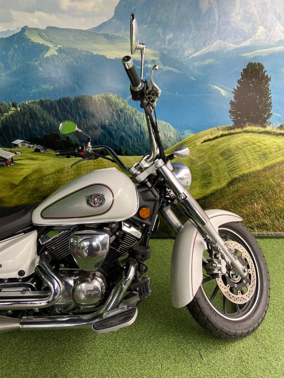XY 250 DENVER - Foto 4