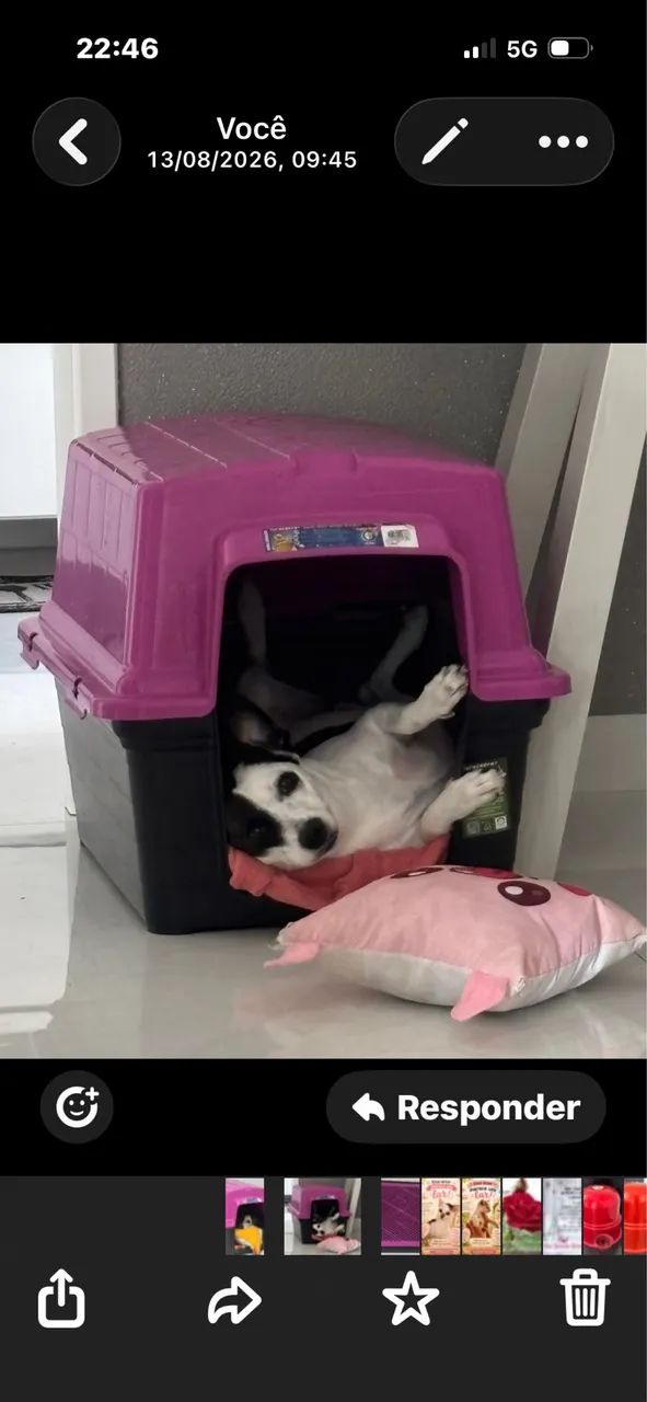 Casa para pet médio  - Foto 2