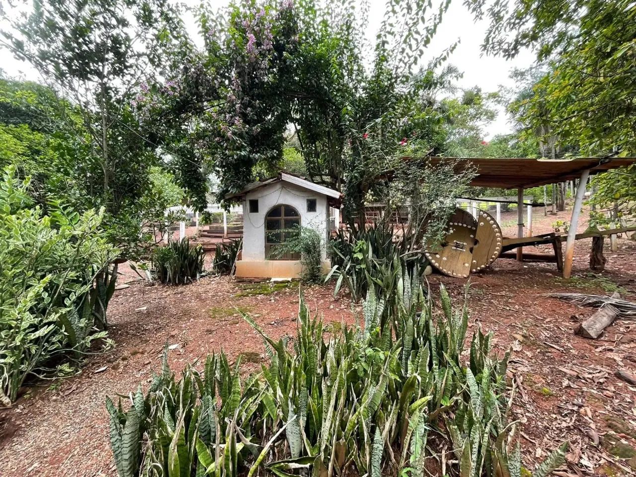 fazenda sao miguel passa quatro - Foto 3