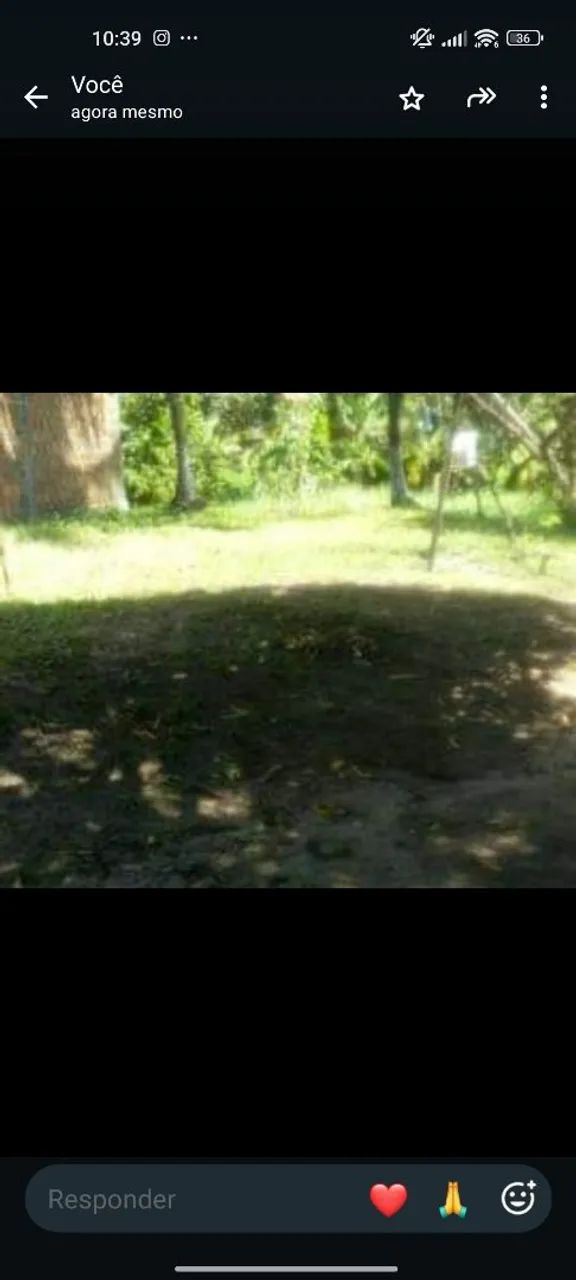 Vendo sitio - Foto 4