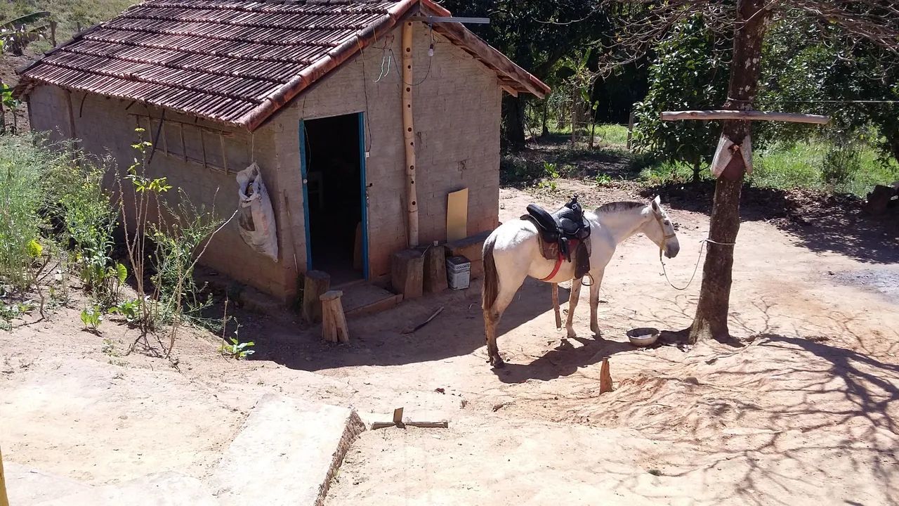 Sítio em St Isabel do Rio Preto, Valença/RJ - Foto 2