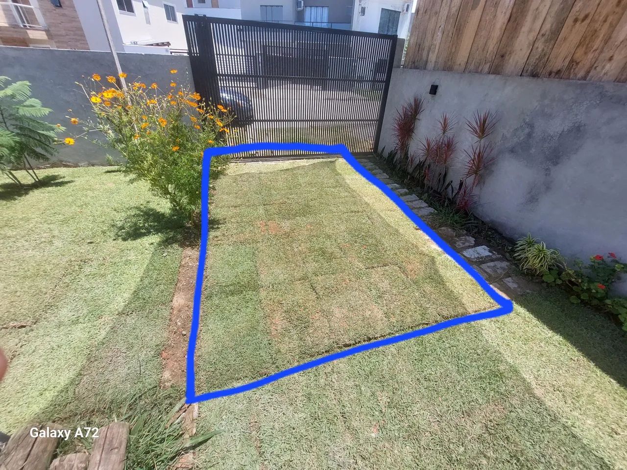 Urgente!Vendo 26 m2 de grama esmeralda no Campeche de ótima qualidade! Sem entrega!! - Foto 2