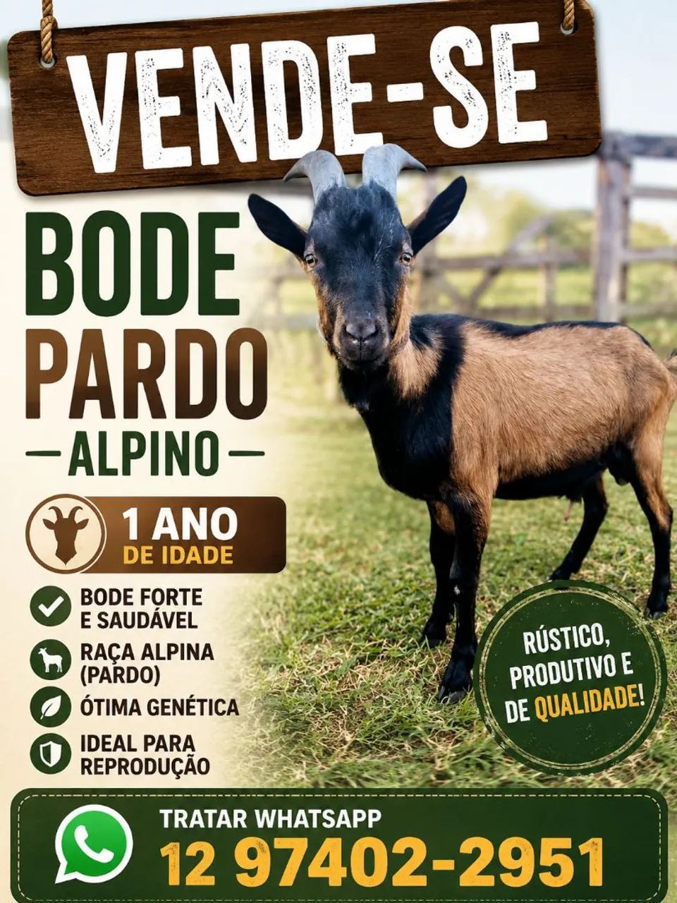 Bode