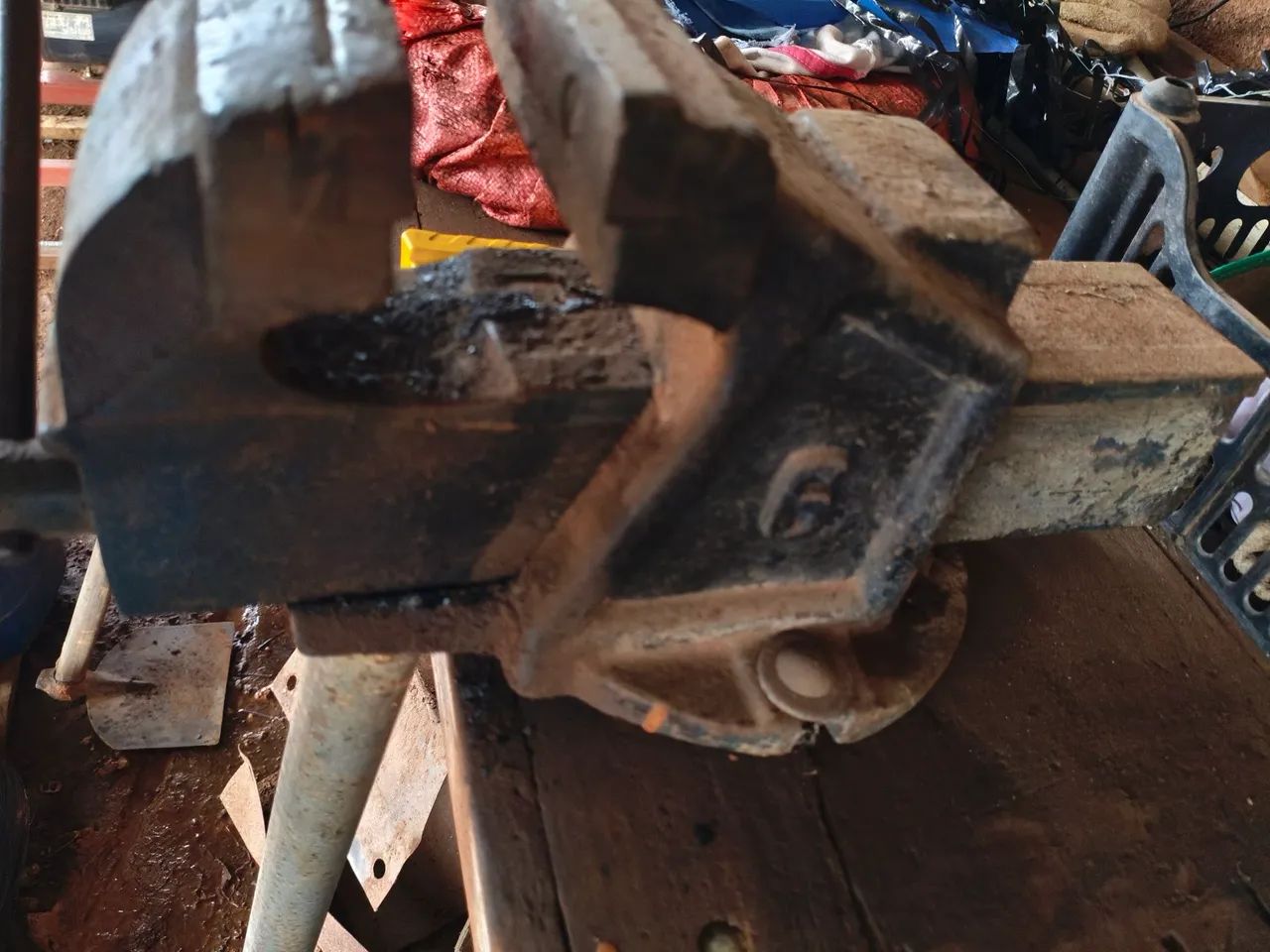 Morça 6"
