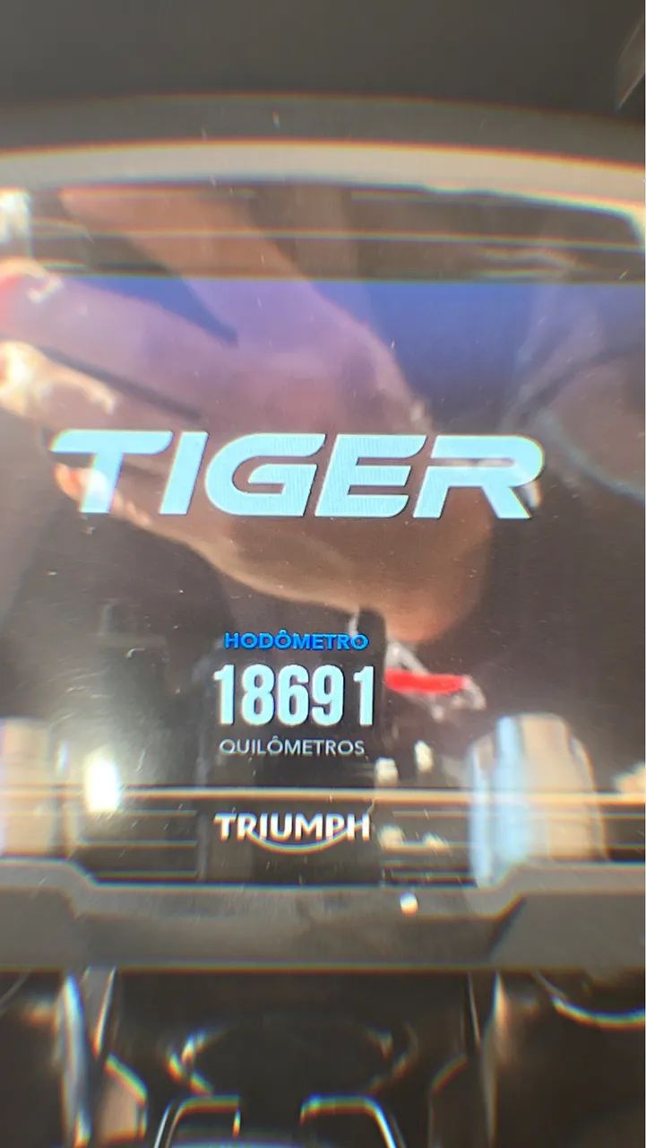 Tiger 1200 Desert Edition - Foto 3