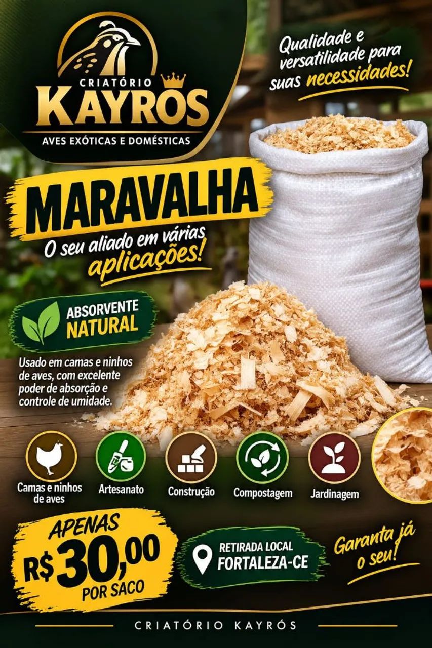 MARAVALHA/RASPA DE MADEIRA  - Foto 4