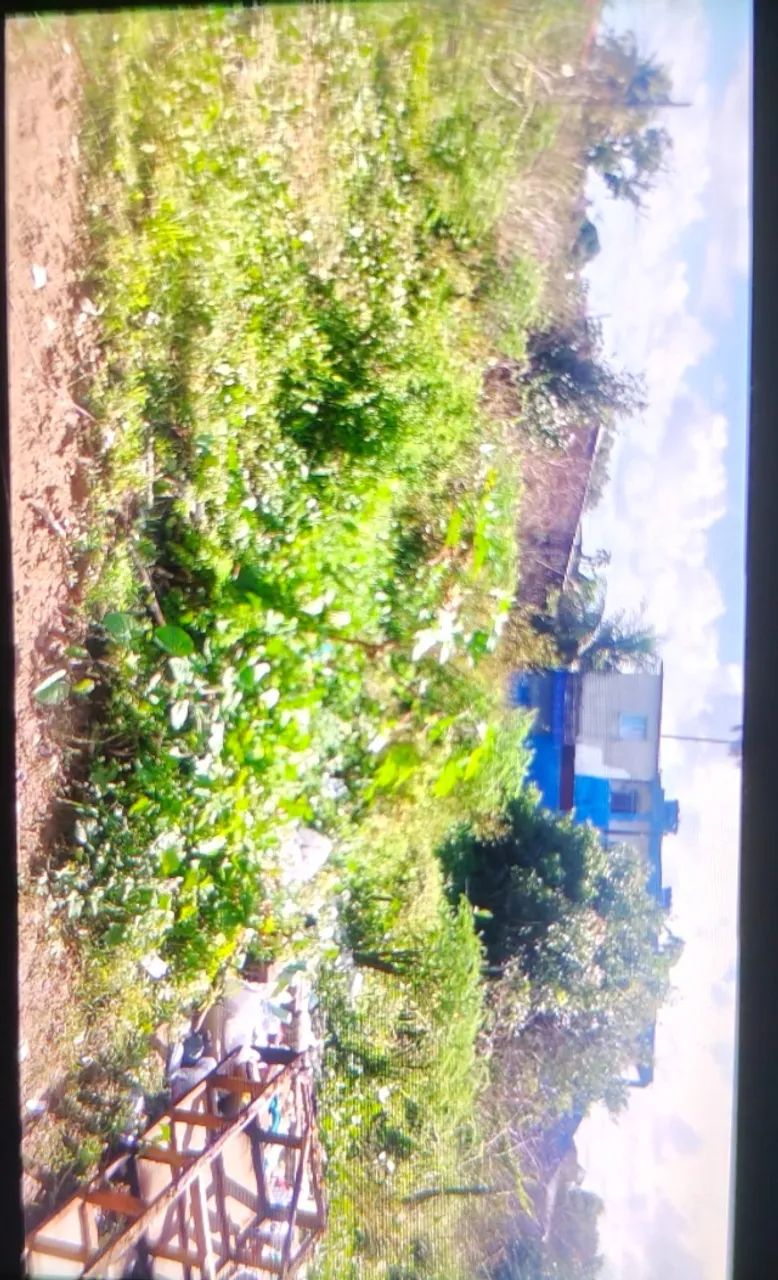 Foto - Jaboatão dos Guararapes - Santo Aleixo