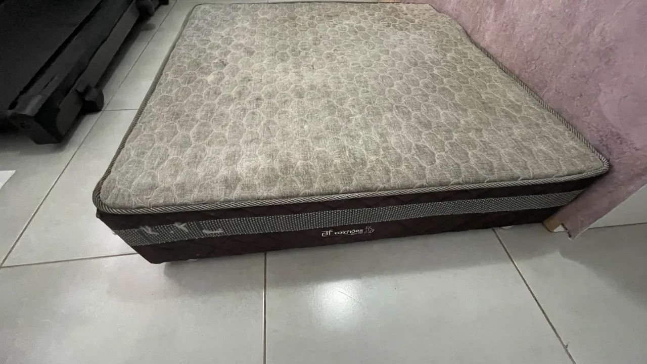 Cama box pet424794784908584963