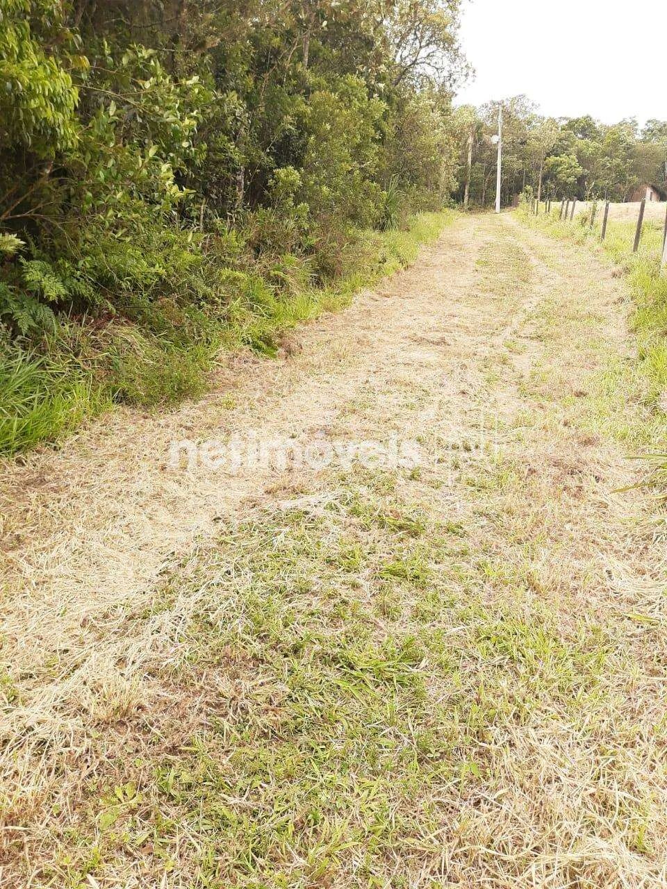 Venda Sítio Chácara Rincão Cotia - Foto 4