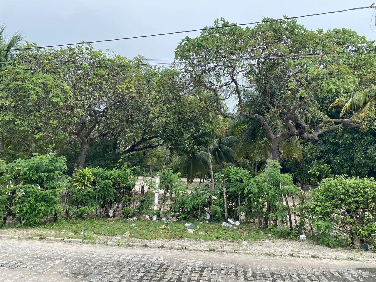 Terreno em Parnamirim  - Foto 3
