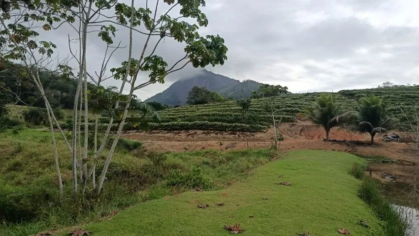 Terra com casa a venda  - Foto 5