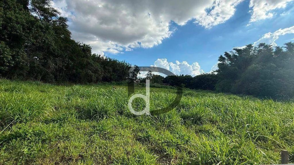 Terreno no Pinheiro a venda em Vinhedo/SP - Foto 2