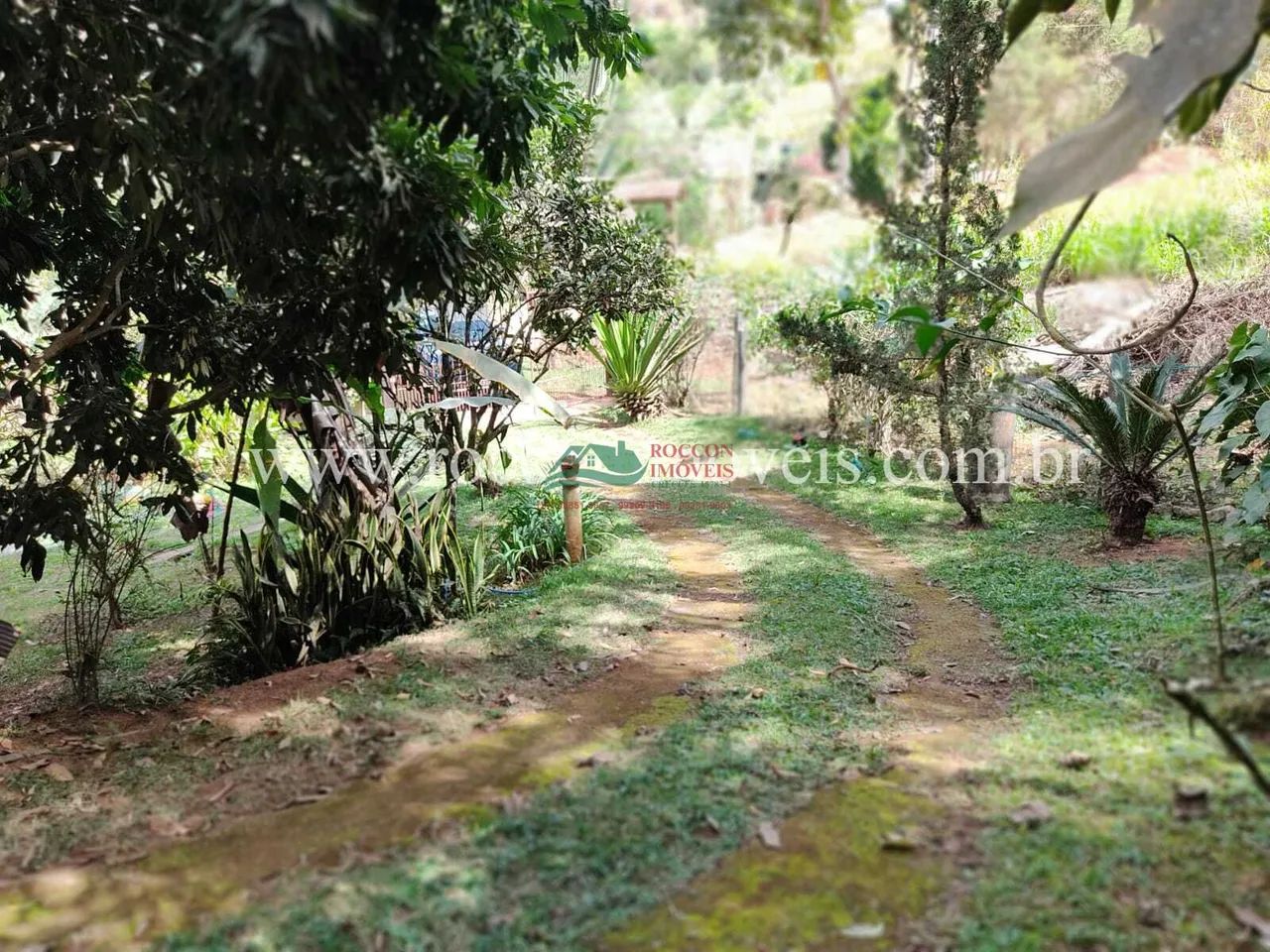 SITIO A VENDA EM DOMINGOS MARTINS ES - Foto 3