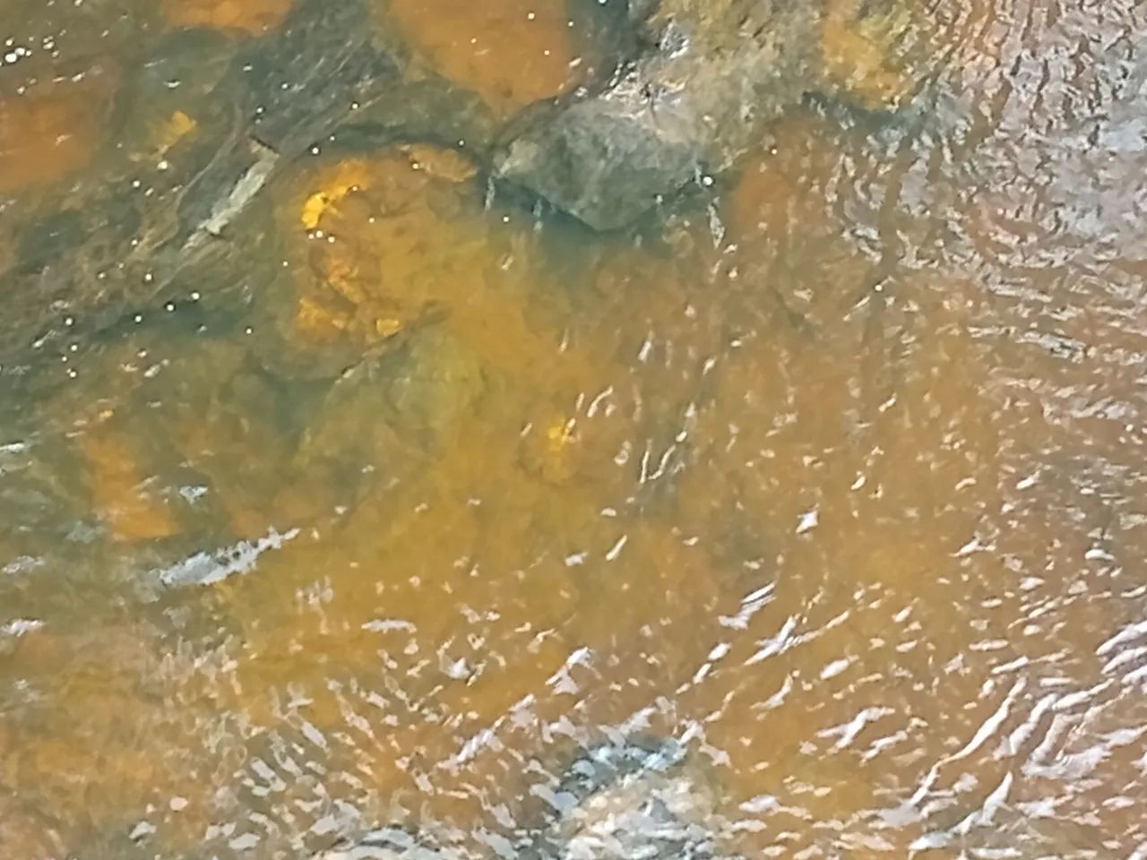 Terreno em Fechados Serra do Cipó  - Foto 3